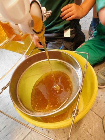 bienen23