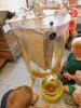 bienen23