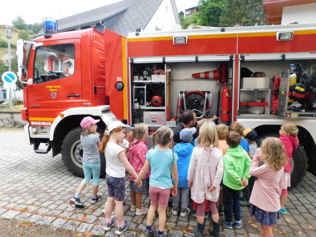 feuer24