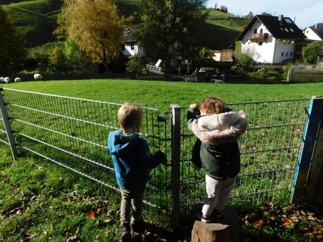 herbstlich24