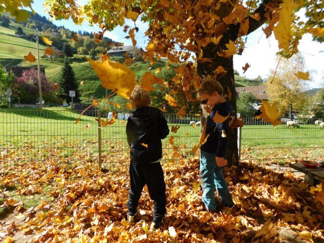 herbstlich24