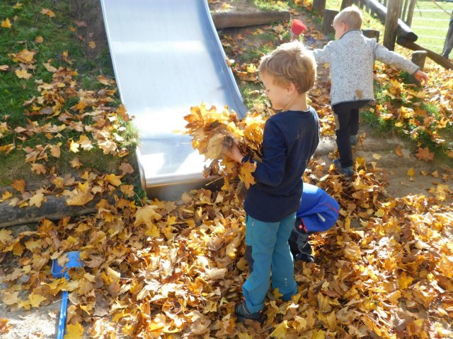 herbstlich24