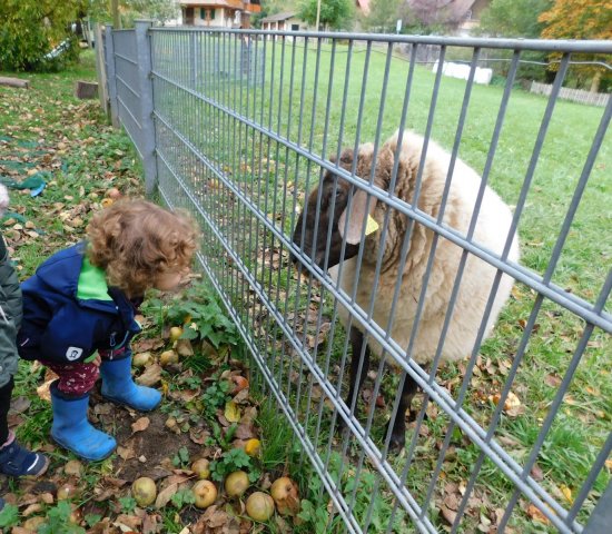 herbstlich24