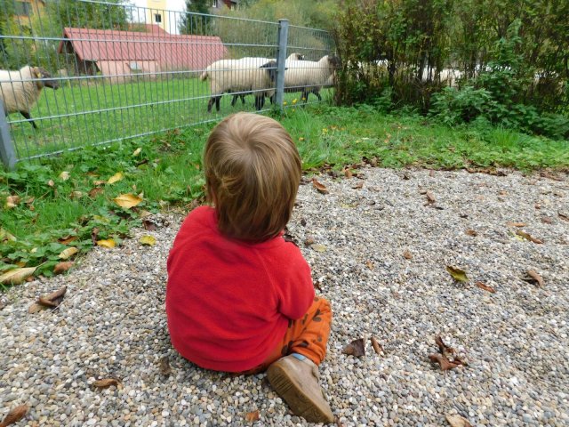 herbstlich24