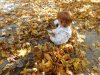 herbstlich24