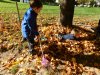 herbstlich24