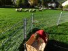 herbstlich24