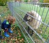 herbstlich24