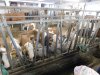 klosterbesuch25