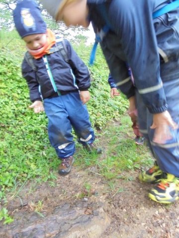 waldtage24