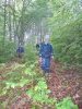 waldtage24